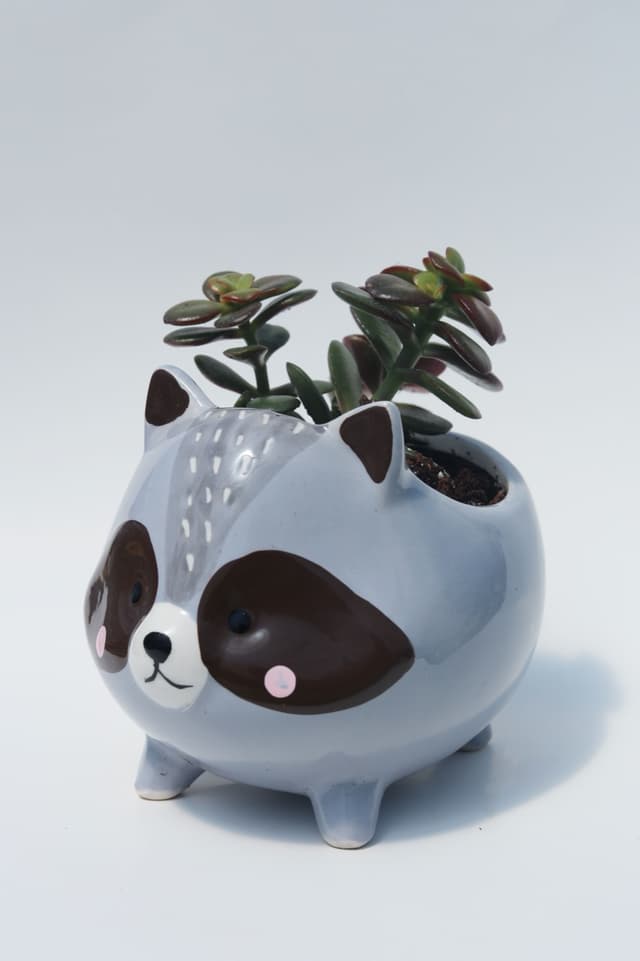 Raccoon Planter