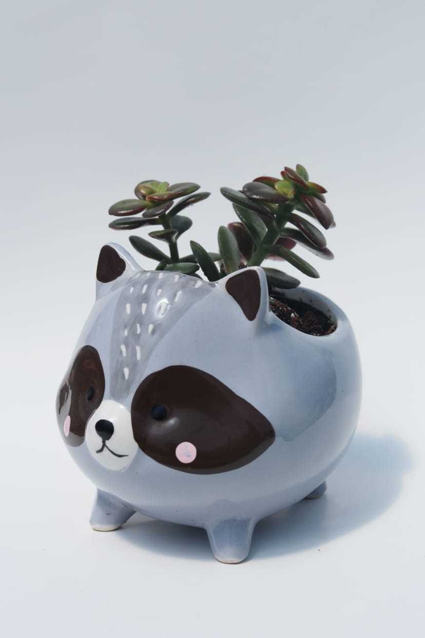 Raccoon Planter - Image 1