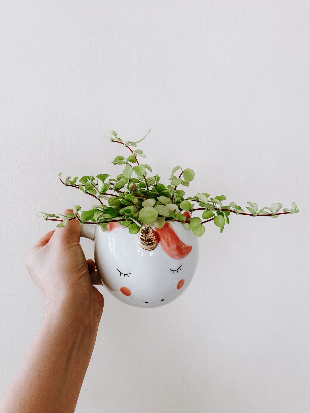 Sleepy Face Planter